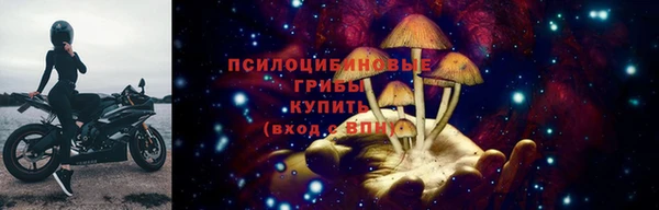 прущие крисы Абинск