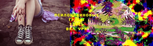 прущие крисы Абинск