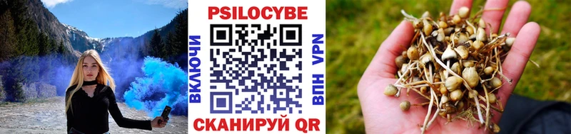 Псилоцибиновые грибы ЛСД  купить наркотики сайты  Шумерля 